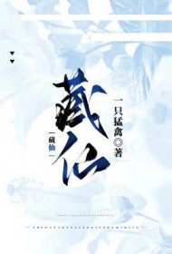 藏仙洞奇石价值